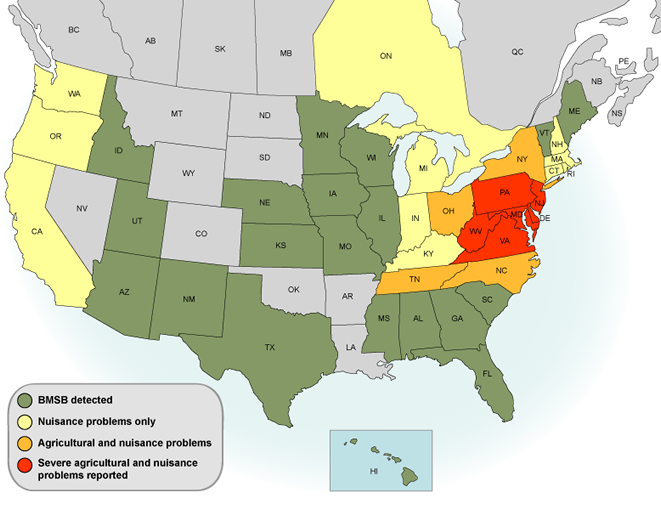 bmsb map - wikipedia.com