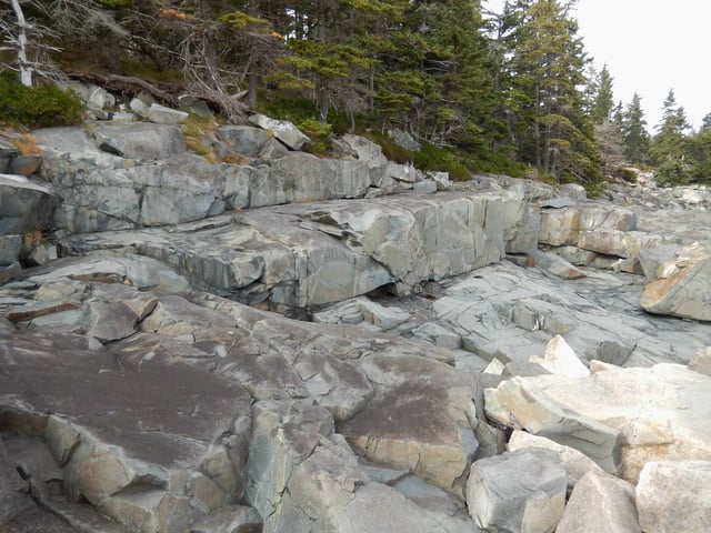 Gray rocks by trees