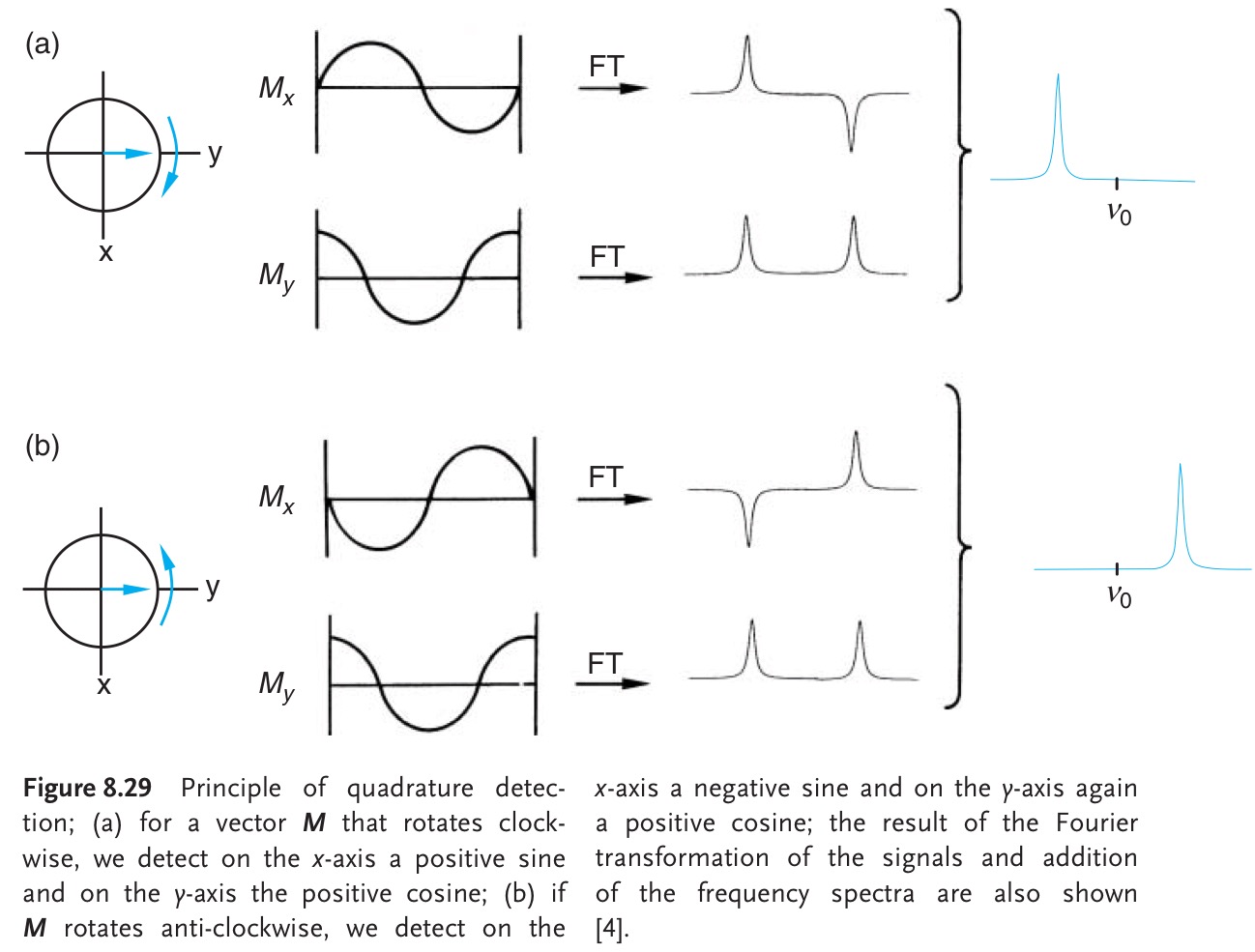 Fourier transform of signals along x- and y-axes