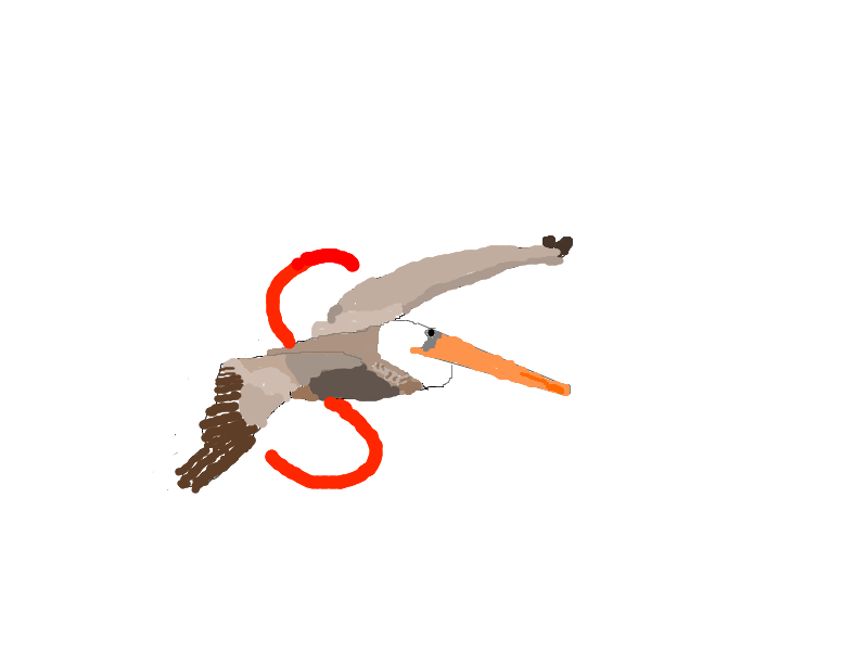 Superpelican's user avatar