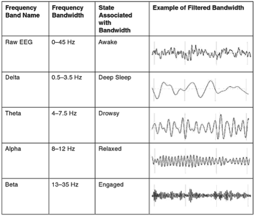 EEG