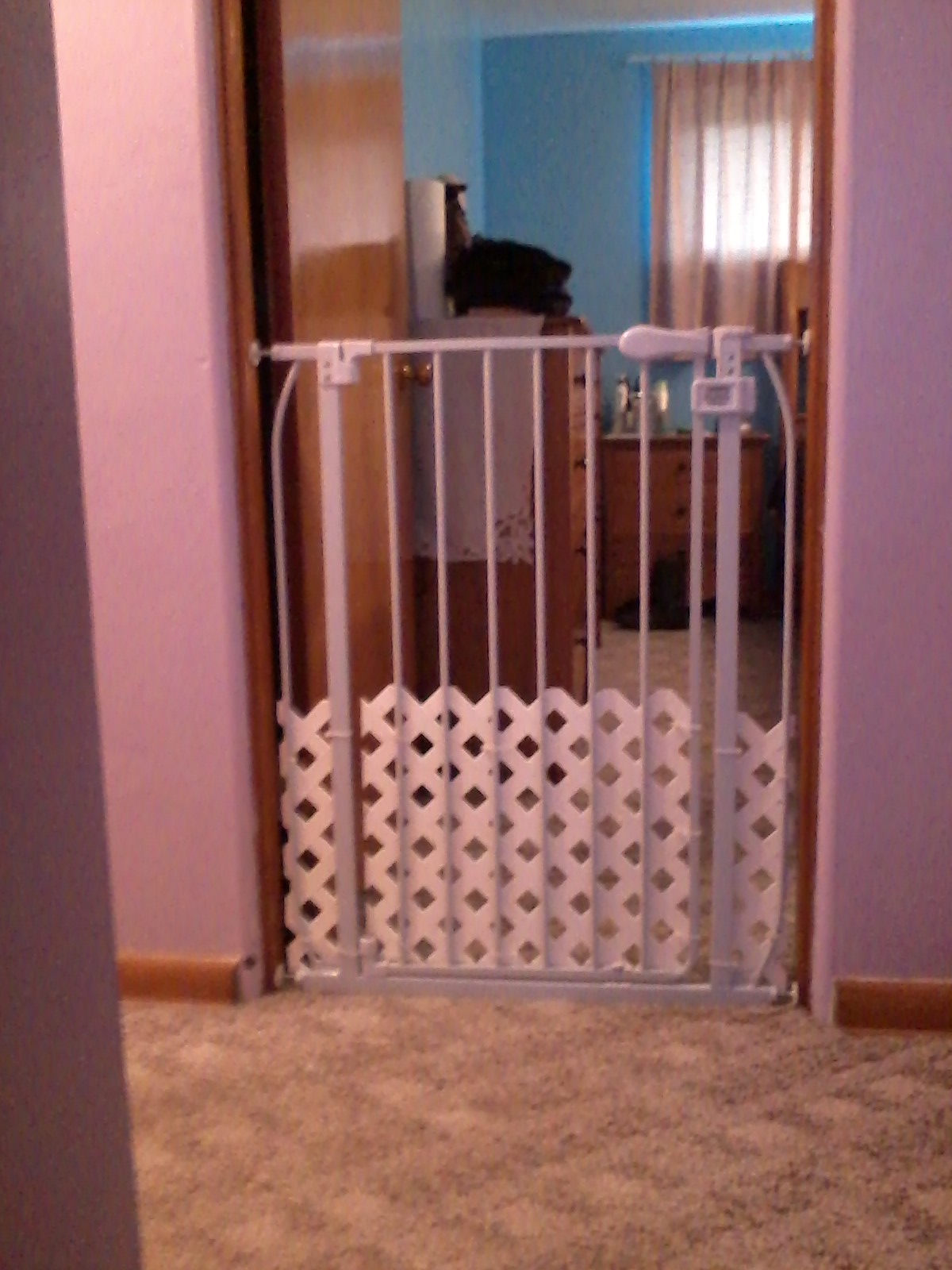 Baby Gate