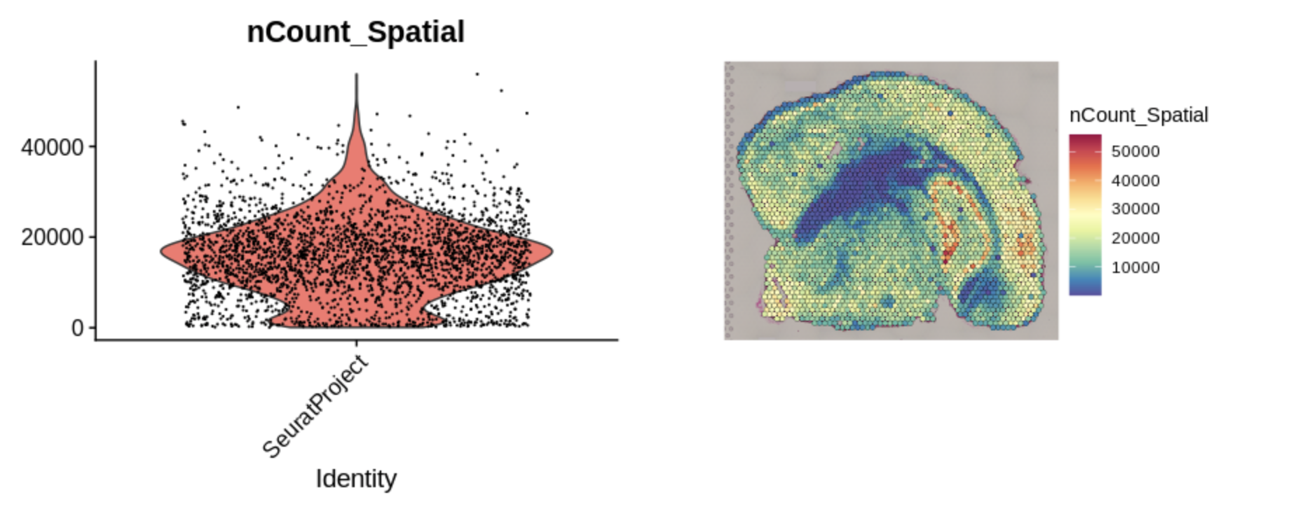 Plot output showing the "SeuratProject" Identity