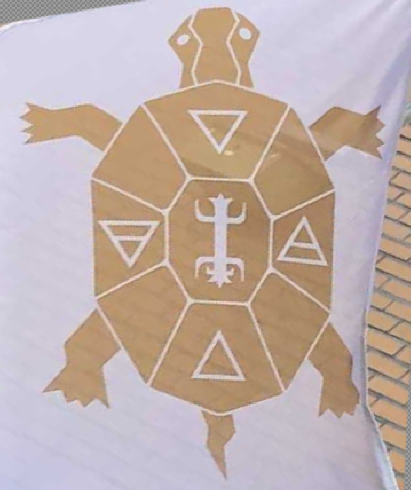 Flag with turtle motif