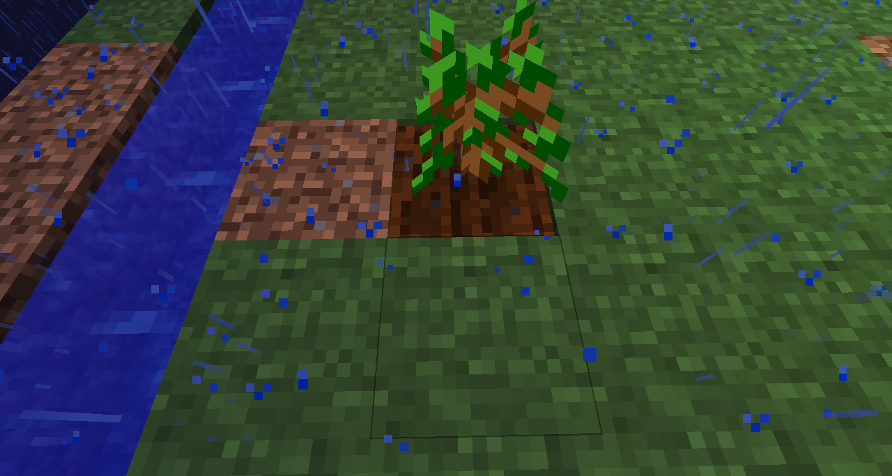 Sapling on farmland