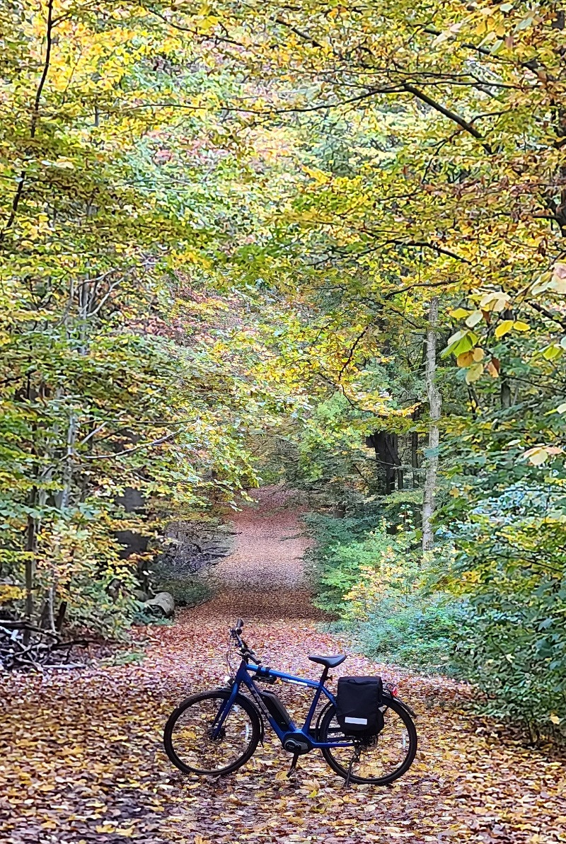 Taunus in autumn