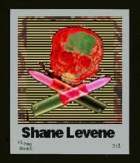 Shane Levene's user avatar