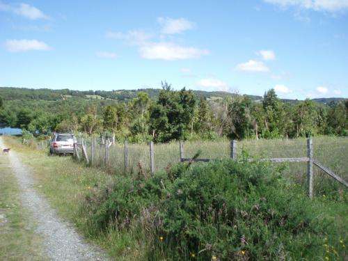 A grassy bit of land with a post-and-wire fence delineating the near side, and a row of trees marking another boundary. There's a dirt road along the outside of the fence, and a car parked a bit further on.