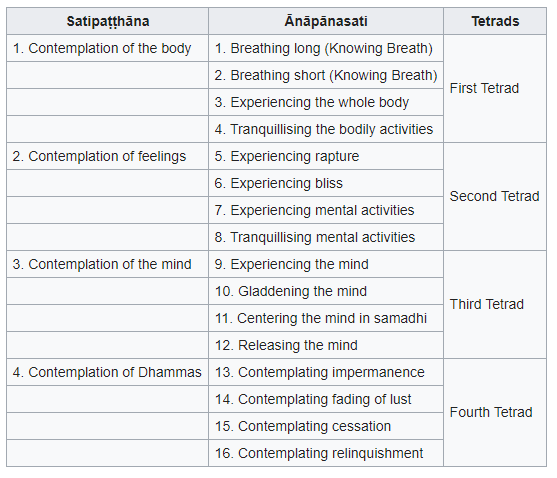 16 steps of anapanasati