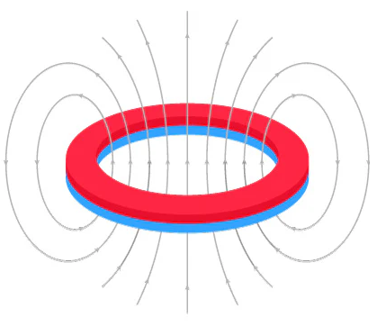 Ring Magnet correct field