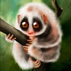 SlowLoris's user avatar