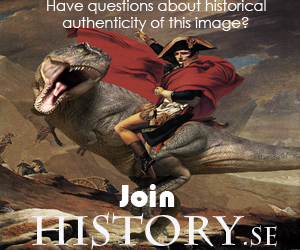 Do you know what Napoleon rode in Battle? Join History.SE