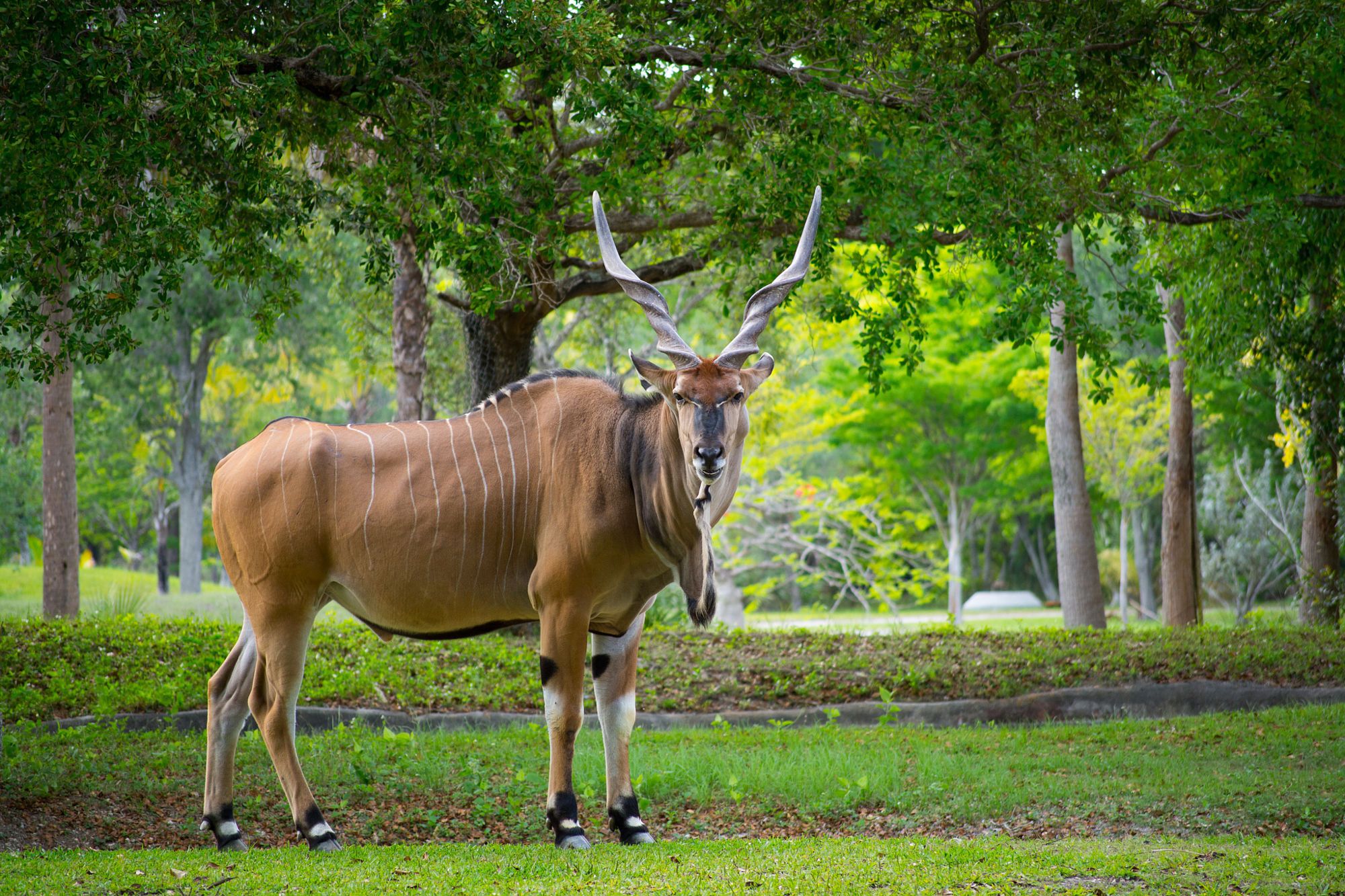 Pictured: Absolute unit