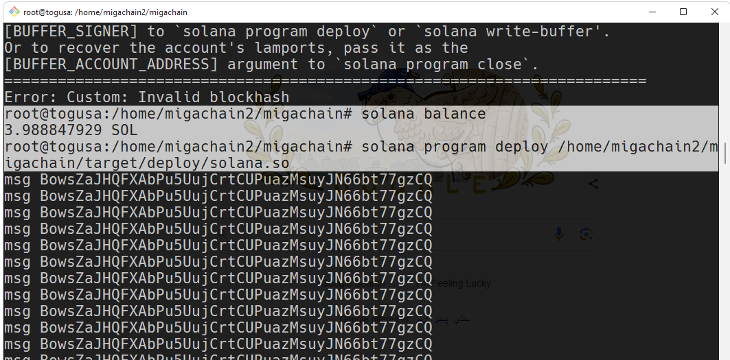 STEP 01: Balance Check & Deployment Command