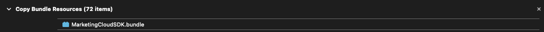 Copy Bundle Resources Section