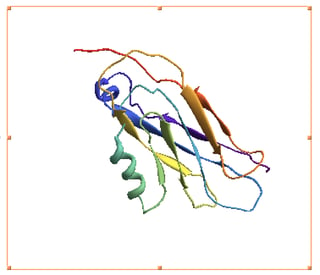 protein display