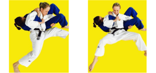 IJF SOR Explanatory notes: Osaekomi-waza