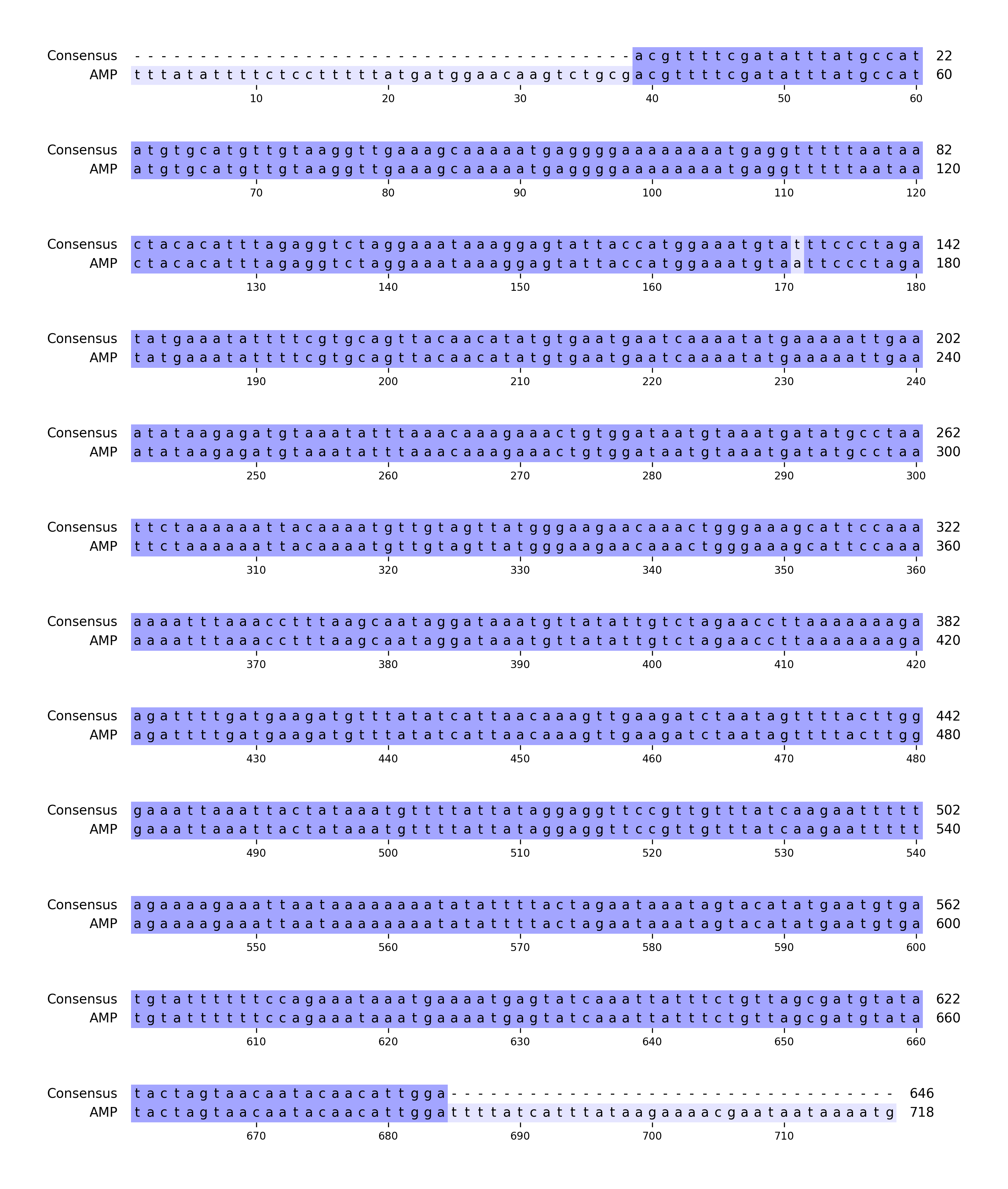 msa_result.png