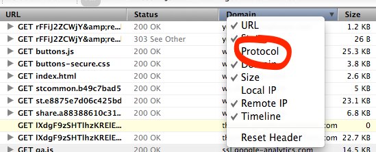 Firebug Protocol column in net panel