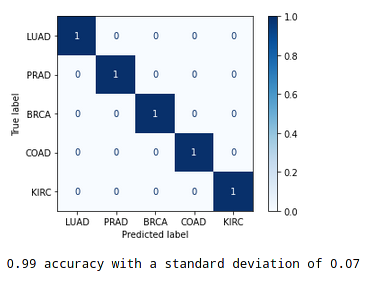 decision tree on feature extracted