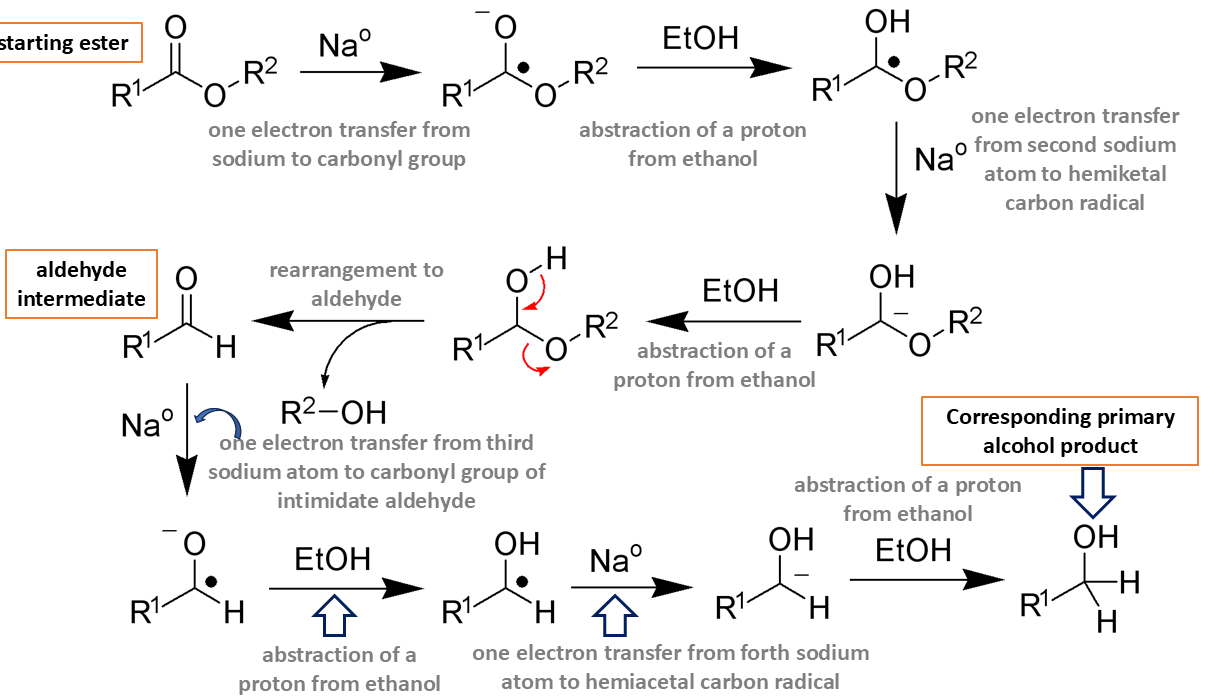 Mechanism for Bouveault–Blanc reduction