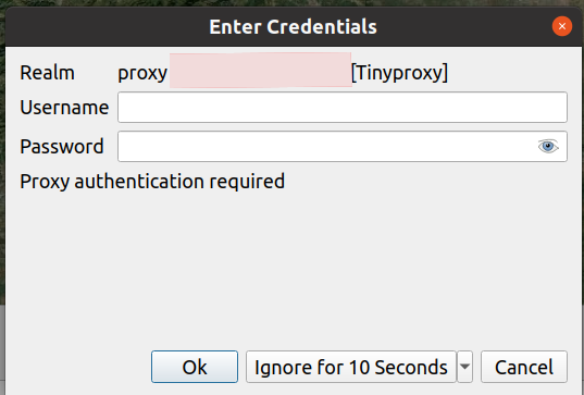 Credentials input dialog