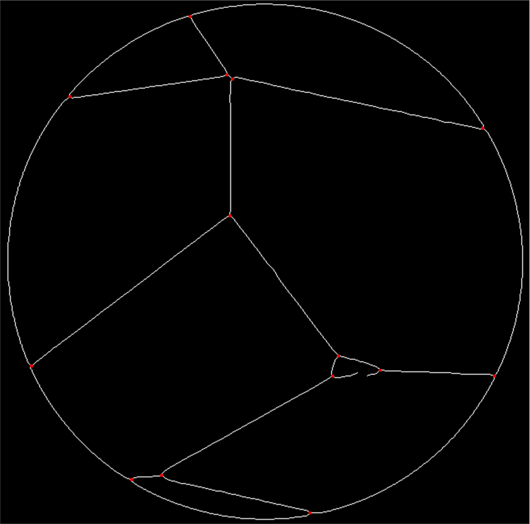 Joined skeleton + highlighted branchpoints