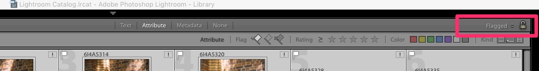 Lightroom Filter only Flagged