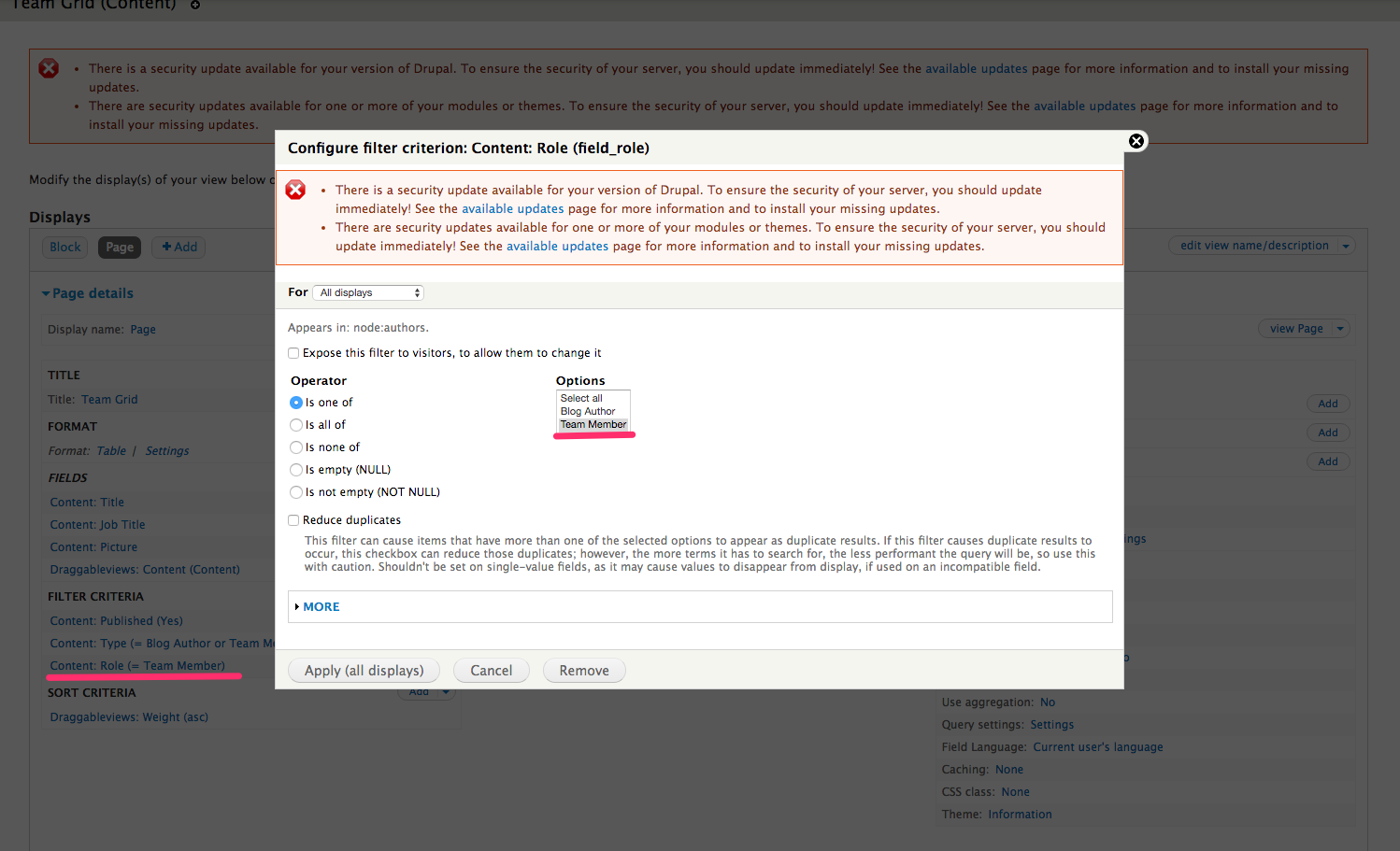 Configure Team Block/ Role Field