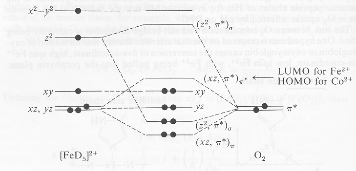 Change in the electronic structure upon coordination of oxygen to iron(II)-heme