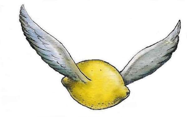 FlyingLemon