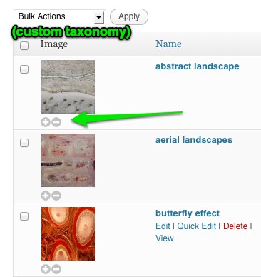 snap of the custom taxonomy admin screen