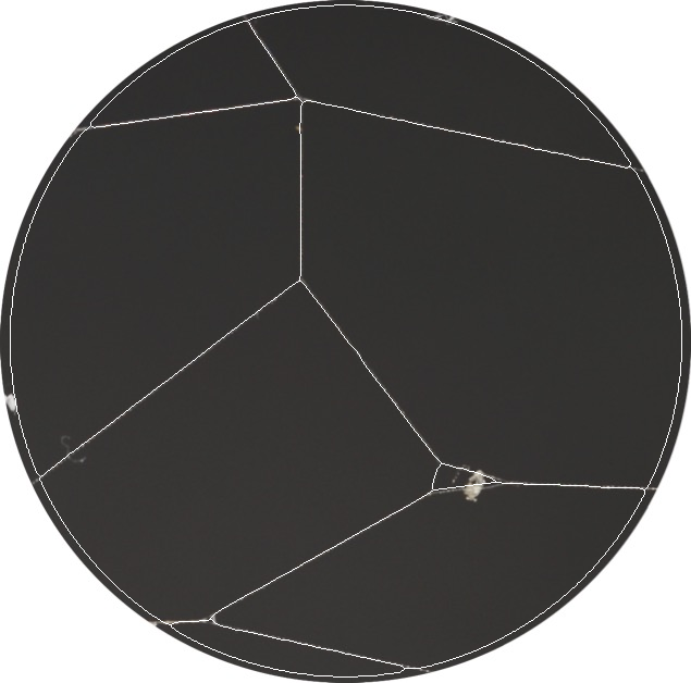 Web skeleton overlay + circular boundary (contraction explained below).