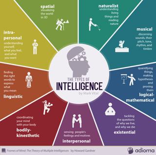 types of intelligence