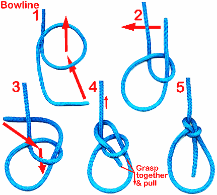 Bowline knot