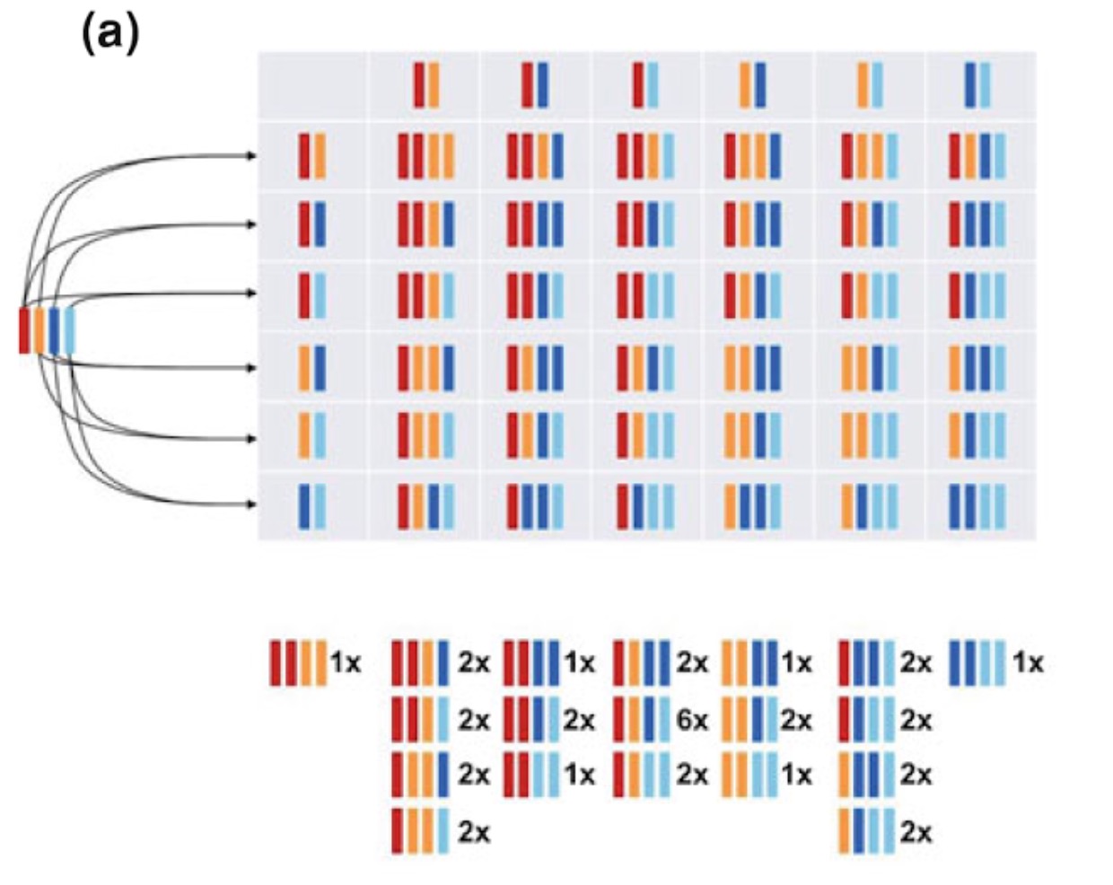 Autopolyploid with tetravalent formation, and random pairing between chromosomes