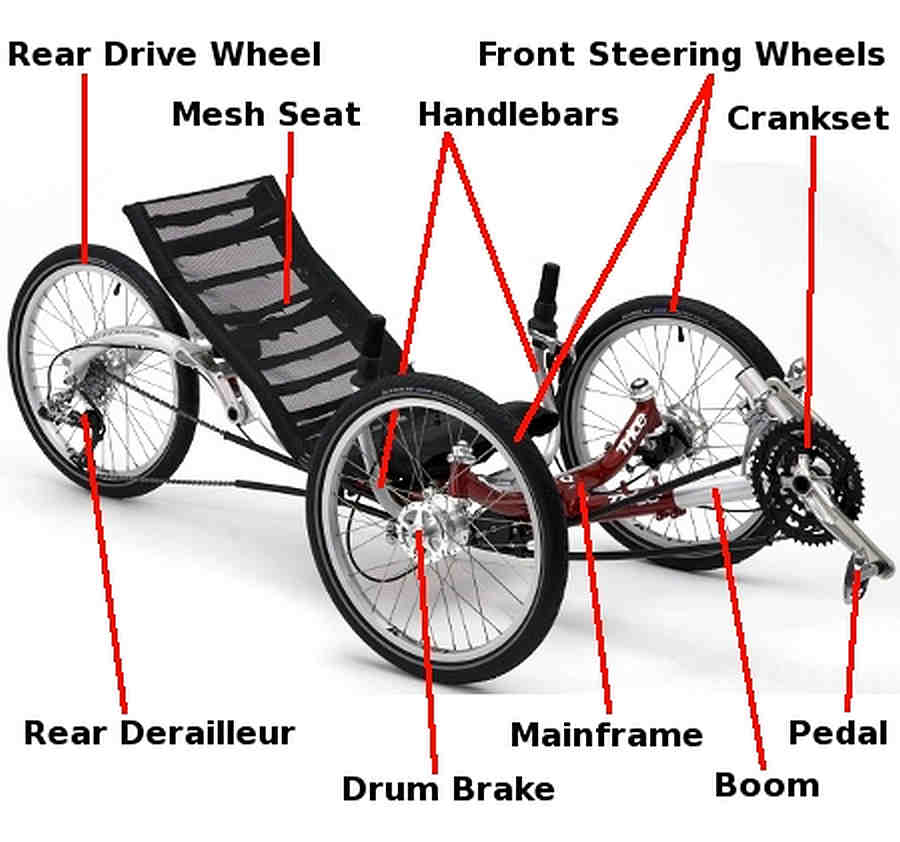 https://tadpolerider2.files.wordpress.com/2015/03/anatomy-ice-trike.jpg