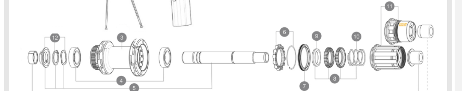 rear hub exploded view