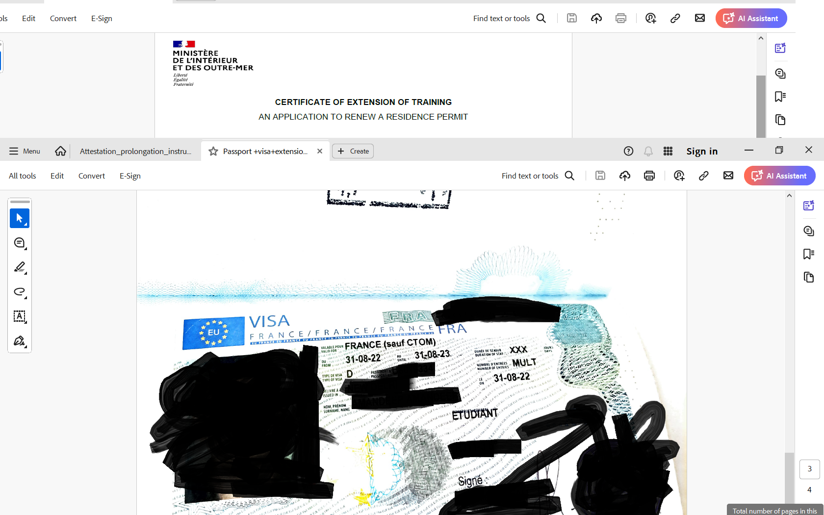 Visa 1 year