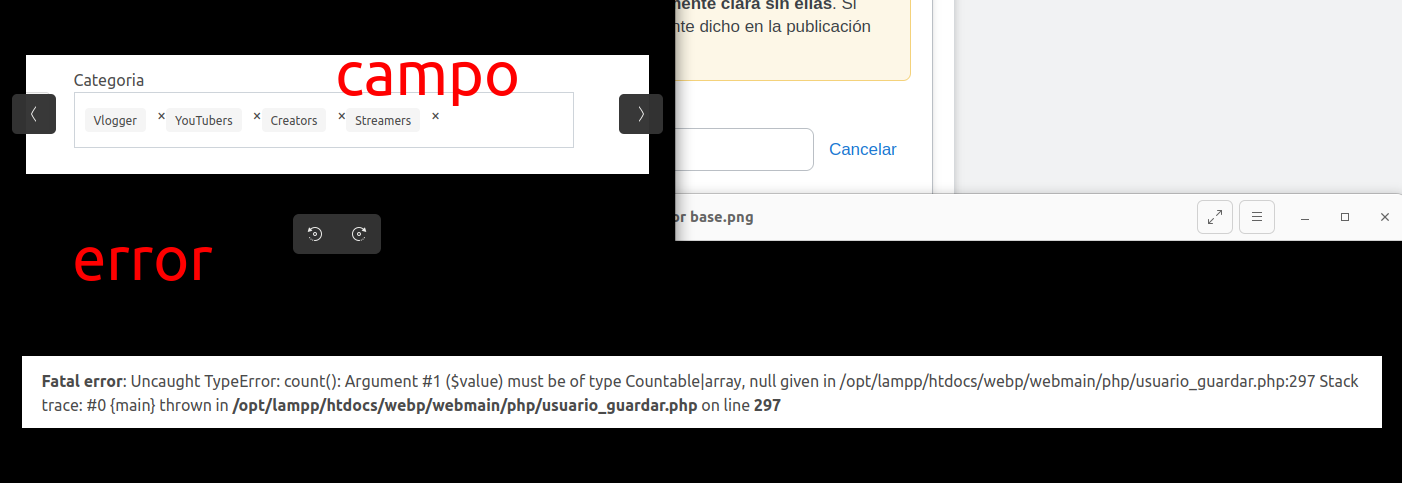 imagen del error y del cuadro de etiquetas en el input