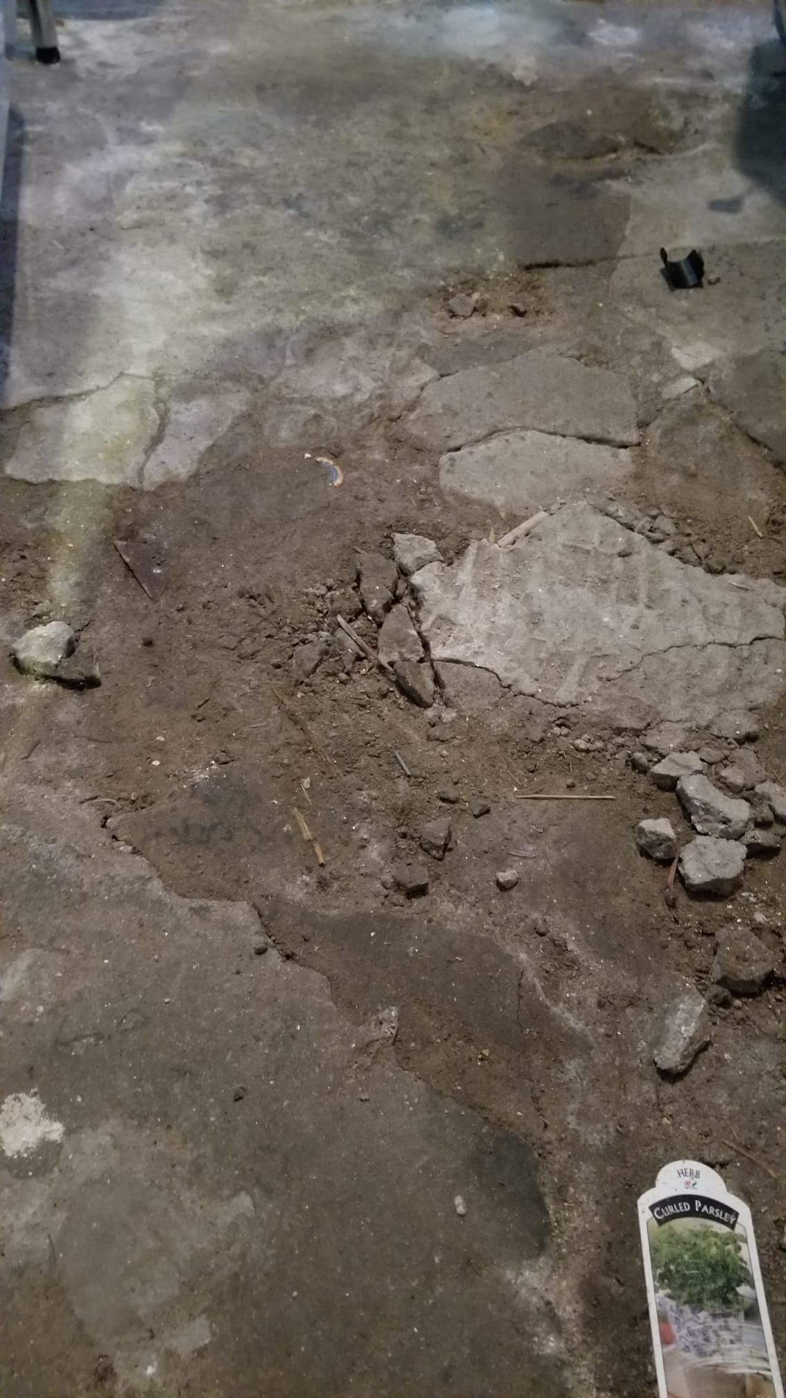 picture of cracked basement floor #4