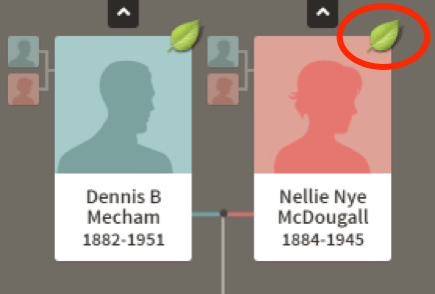 Ancestry hints