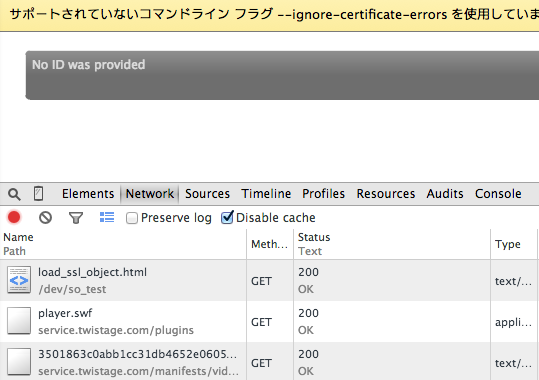 loading_insecure_contents_with_ignore_certificate_errors_option