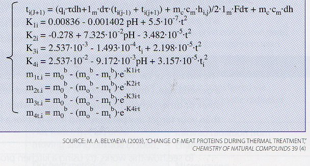 equations for heat transfer in meat