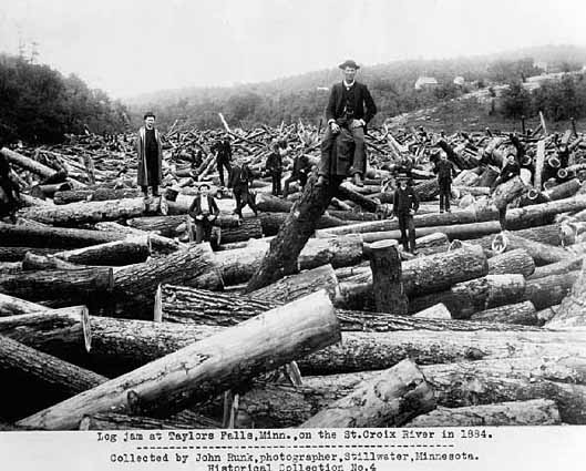 Log jam at Taylors Falls, MN