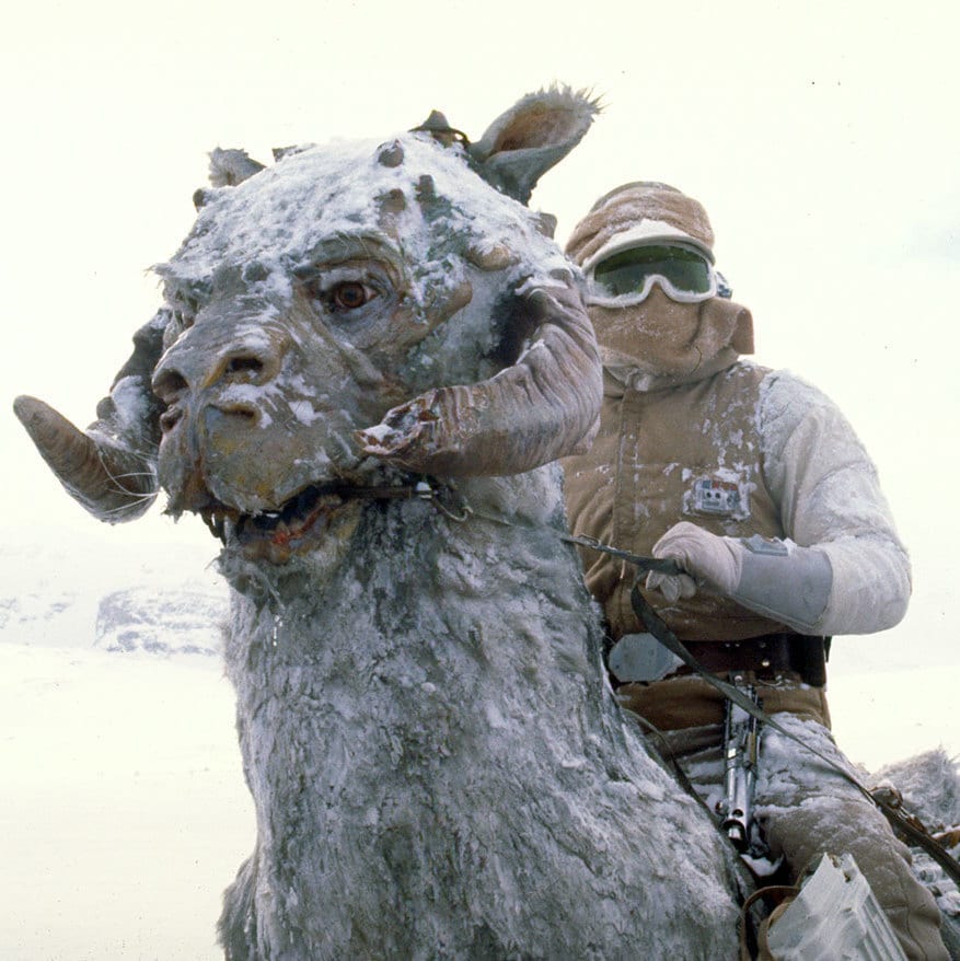 Tauntaun Rider's user avatar