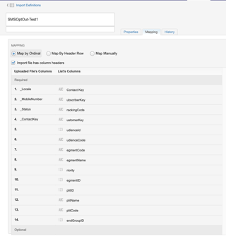 Import definition mapping after setup