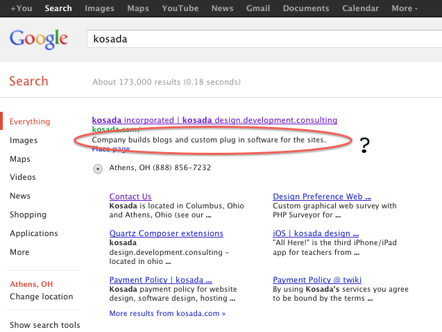 Screenshot of Google search result: "Company builds blogs and custom plug in software for the sites." ...?