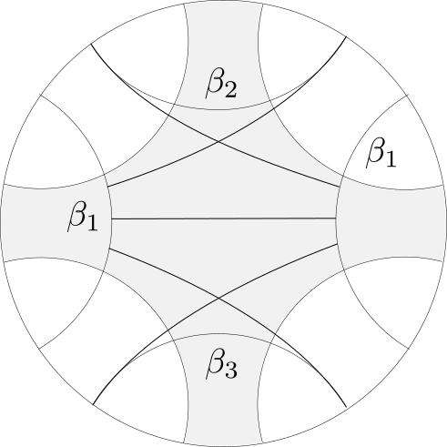 five-geodesics-in-poincare-disk