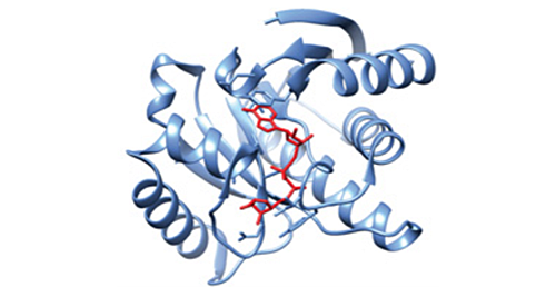 Macrodomain from Archaeoglobus fulgidus protein AF1521